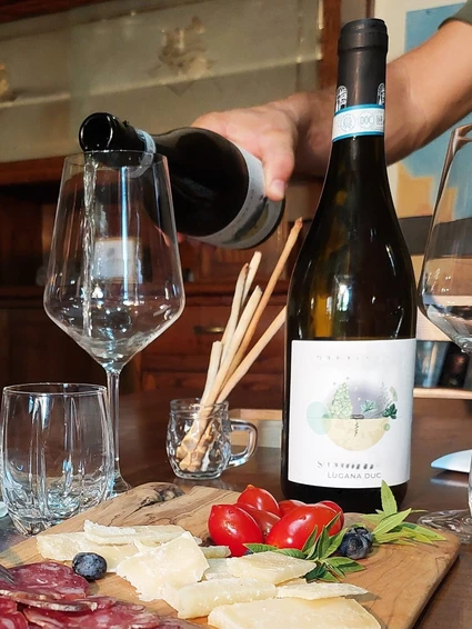 Degustazione di vini Lugana nella cantina più piccola del Lago di Garda 8